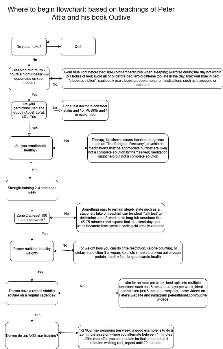 Outlive Flowchart